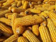 gabonaárak, gabonapiac, mezőgazdaság