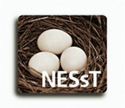 NESsT
