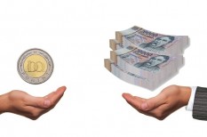 hitelezés, kkv finanszírozás, mfb hitelezés, kkv finanszírozás, mfb