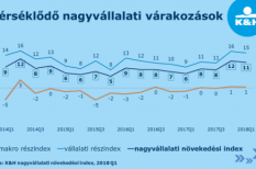 árbevétel, csökkenés, nagyvállalat, növekedés, várakozás árbevétel, csökkenés, nagyvállalat, növekedés, várakozás