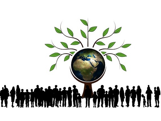 Kép: Pixabay